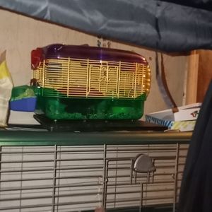 Critter trail small pet cage